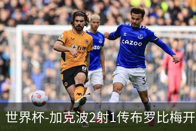 世界杯-加克波2射1传布罗比梅开二度 荷兰5-1大胜瑞典