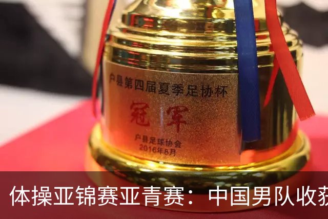 体操亚锦赛亚青赛：中国男队收获6枚金牌