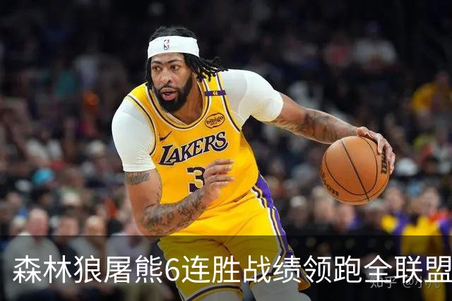 森林狼屠熊6连胜战绩领跑全联盟 骑士力克热火